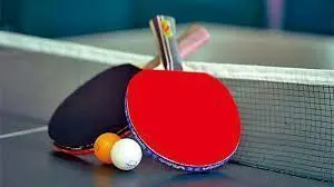 乒乓盛宴：日本VS瑞典，巴黎奥运会男团半决赛巅峰对决