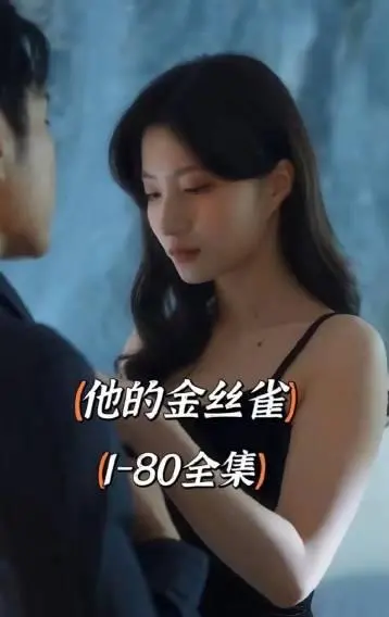 《他的金丝雀》：当沉默的灵魂渴望自由！少女的特工之路