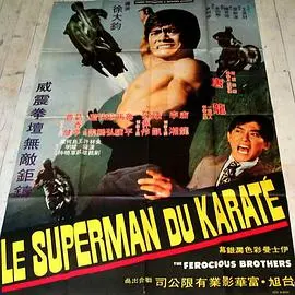 《龙虎过江》：唐龙勇闯罗马，李小龙经典功夫片再现江湖！燃爆动作，不容错过！