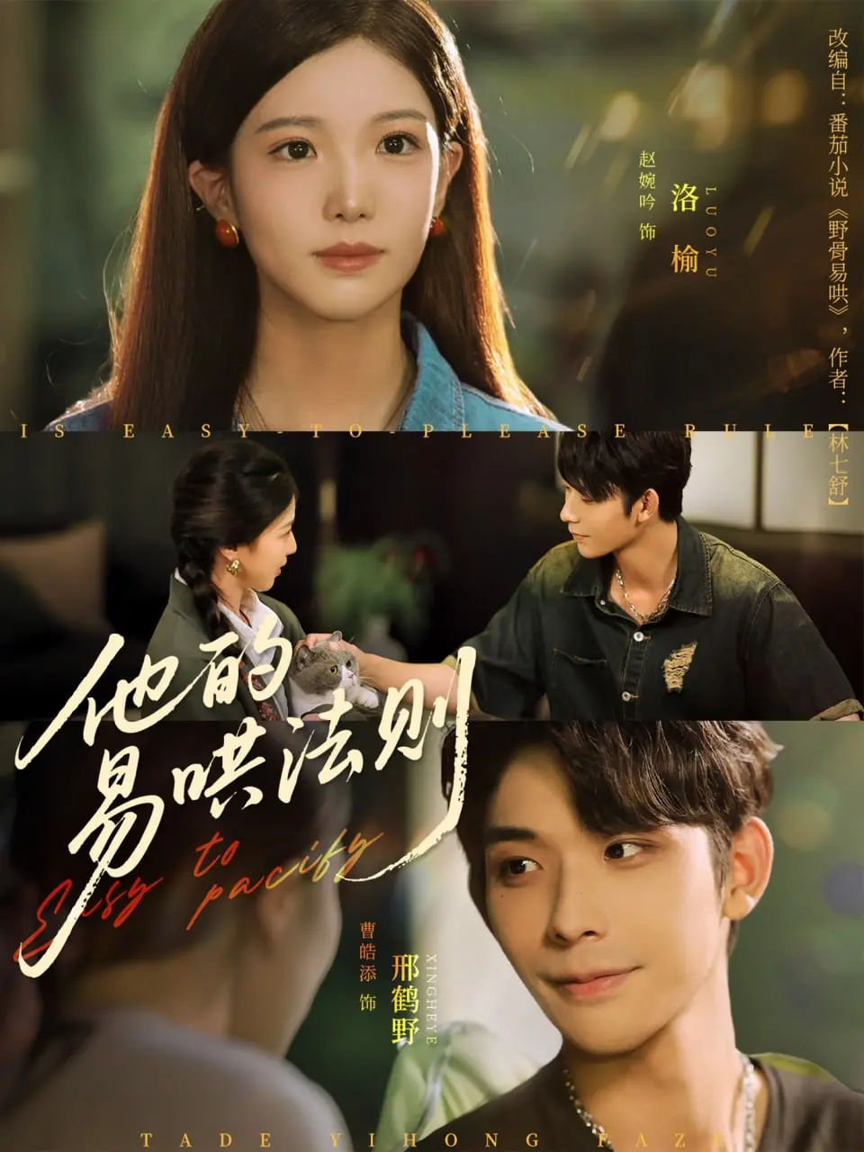 《他的易哄法则》：甜宠来袭，看傲娇男主如何沦陷？恋爱技巧大揭秘！