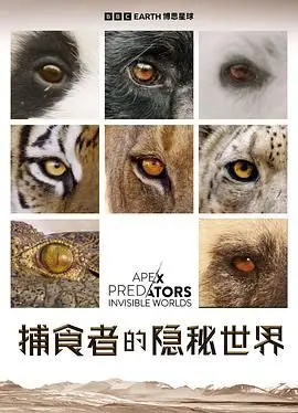 《捕食者的隐秘世界》：揭秘自然界残酷生存法则，一次震撼心灵的生命之旅